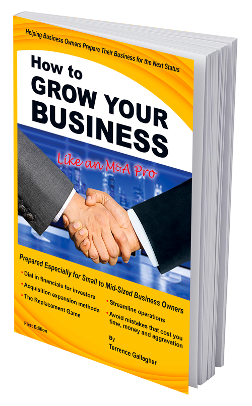 How To Grow Your Business Like an M&A Pro cover
